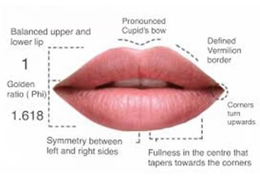cum să eliminați grăsimea superioară a buzei)